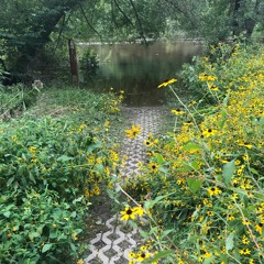 Pedal Garden
