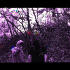 moneydance (Ft. oozy) [Prod. Yungmexicanbih]