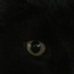 We've Got Hostiles Remix X Let There Be Chaos