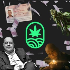 Money Money Green - VEYSEL feat. JuicyFields