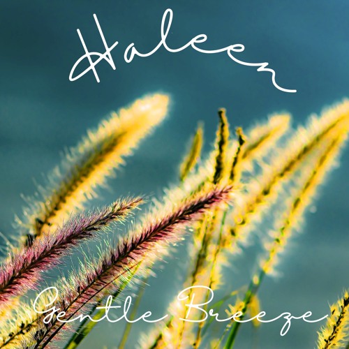 Gentle Breeze