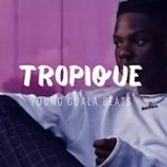 Tropique - Burna boy x Rema x Afrobeat Type Beat 2024