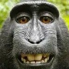 zibi diss (Prod. thatsgwiz)