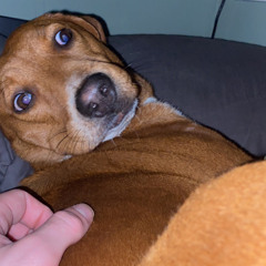 Deranged (Freestyle)