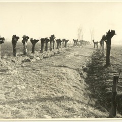 De dodemannen in de Zenne - Het Schom - Zemst