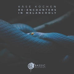 PREMIERE : Käse Kochen - Breaching The Carapace (Axon Remix) [Bassic Records]