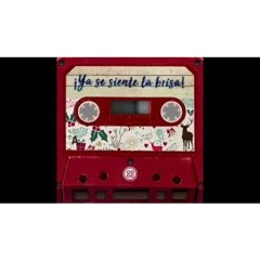 CIMA SABOR NAVIDEÑO🎄🎁