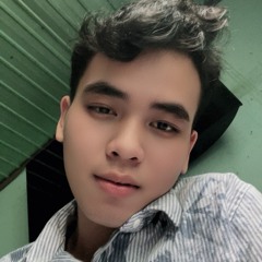 VIETMIX 2K25 - LỌT LÀ DỌT - ENN MIX