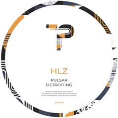 Detroiting - PMD048B