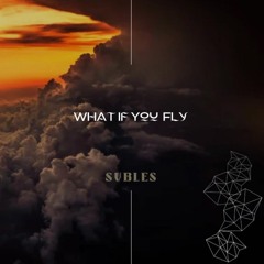 What If You Fly