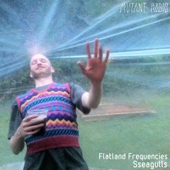 Sseagulls [Flatland Frequencies] [14.04.2021]