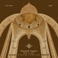 Thousand Fingers - Dame Tu Amor (Zigan Aldi Remix)