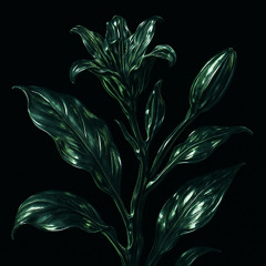 Aero V (Original Mix)