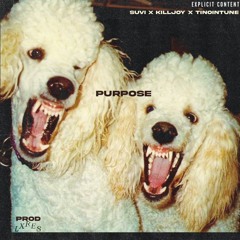 purpose (feat. killjoy & TinoInTune) [prod. LXRES]