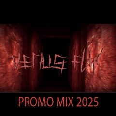 Venus Fly - PROMO MIX 2025