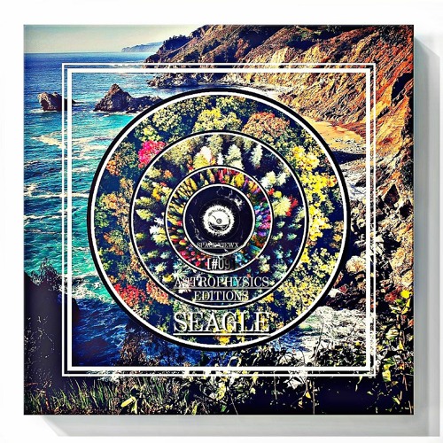 SPACE VIEWX [AstrophysicsEditions] [#09] Seagle [Iceland, Dub Techno]