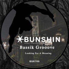Bassik Grooove - Looking For A Meaning (FREE DOWNLOAD)