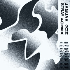 Stray Fossa x Jaguar Sun - In The Moon
