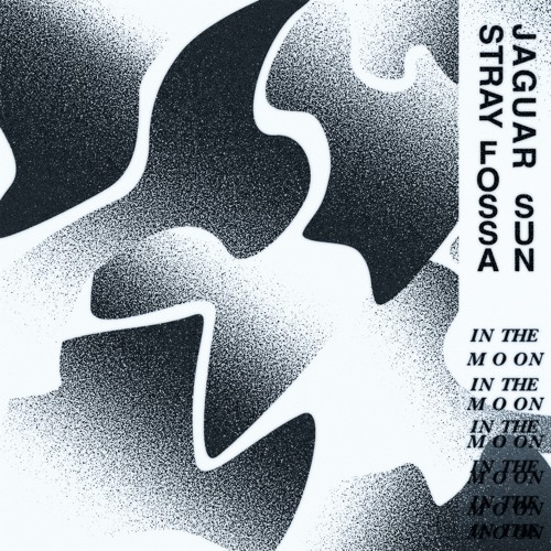 Stray Fossa x Jaguar Sun - In The Moon