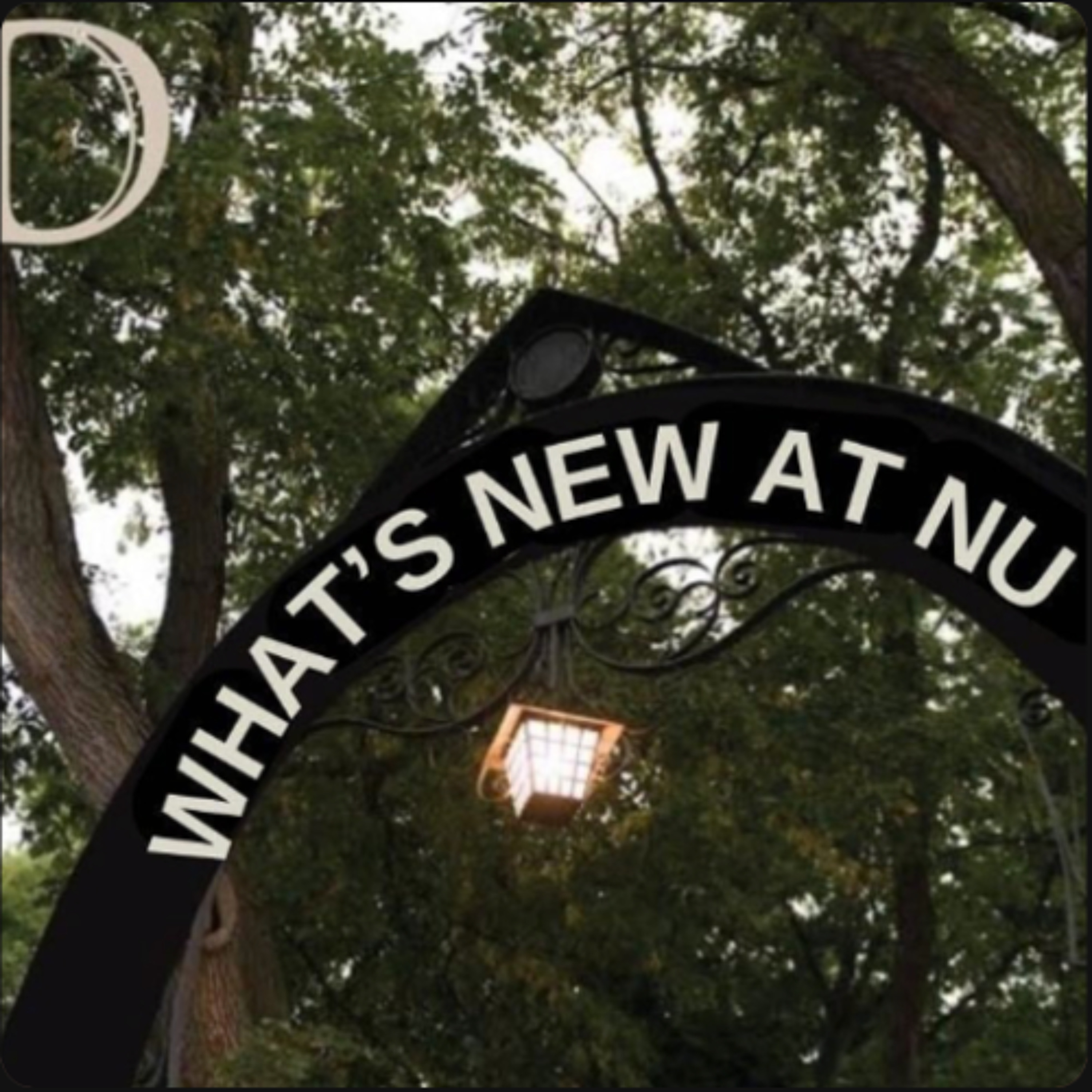 What’s New at NU: Luna’'s Pub and Grill at Norris offers new campus gathering space
