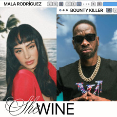 Mala Rodríguez n Bounty Killer - She Wine