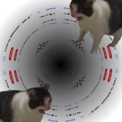 Loss of appetite - Me & Cats