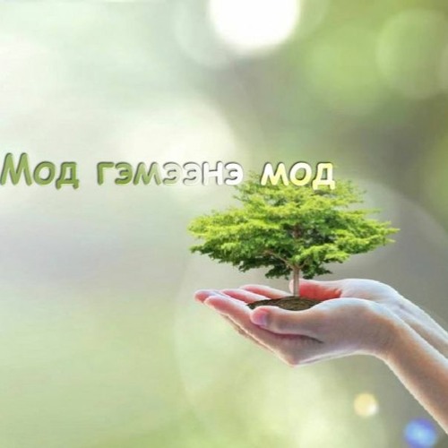 Stream Мод гэмээнэ мод /2022.11.14/ by Mongolian National Radio ...