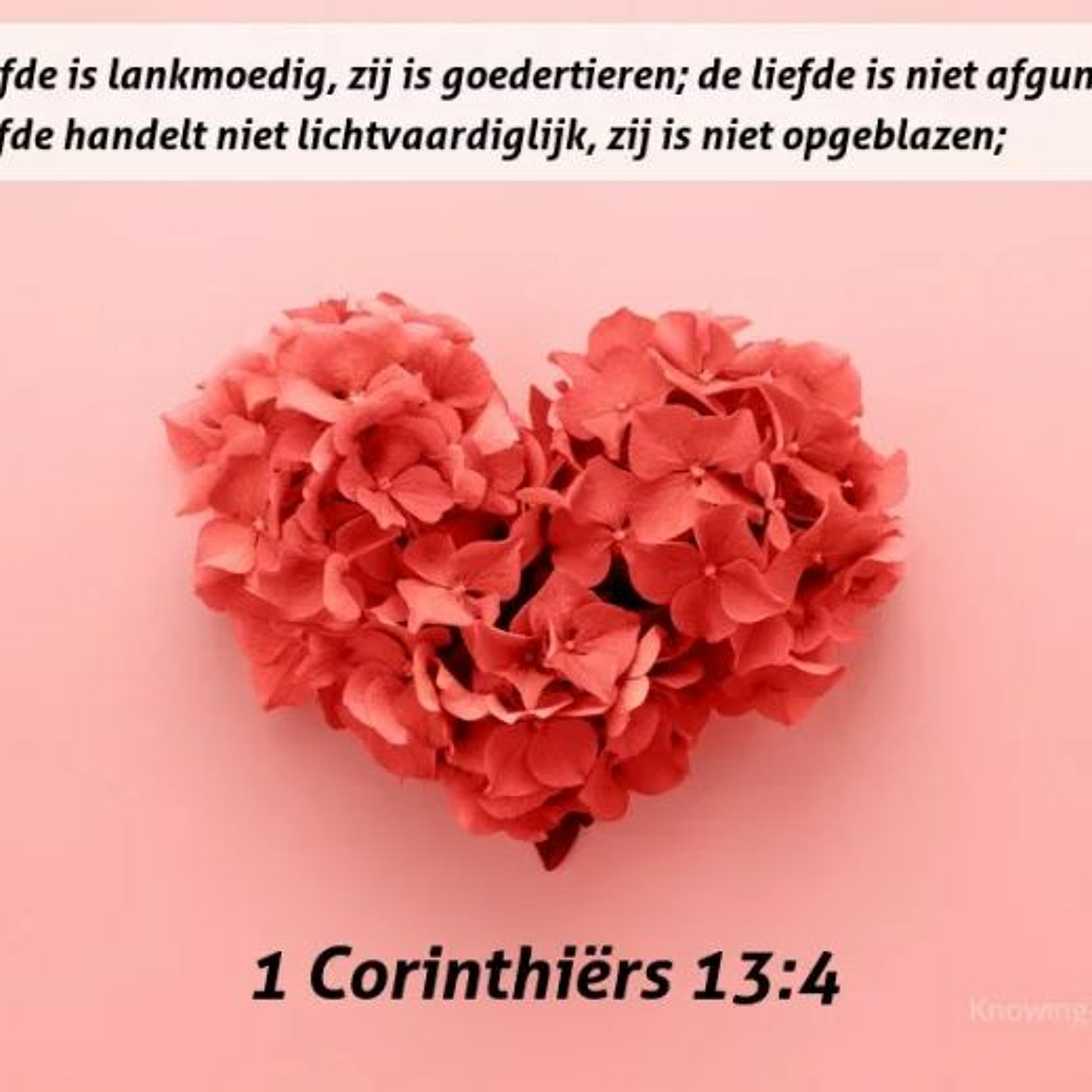 Samen Door De Bijbel