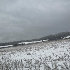 the_flowers_all_die_demo