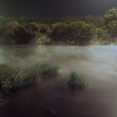 🌳♫𝘭𝘰𝘴𝘵 𝘪𝘯 𝘵𝘩𝘦 𝘸𝘰𝘰𝘥𝘴♫🌳 [@ih8u11]