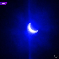 there is no home for me here