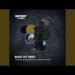Thomas Schwartz Fausto Fanizza - Bird Of Prey