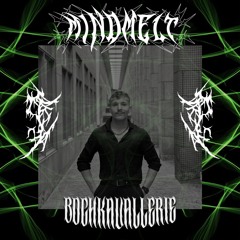MindMelt x BOCHKAVALLERIE [hybrid set]