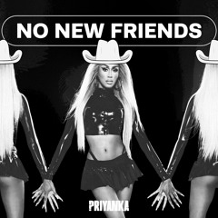 No New Friends (Country Remix)