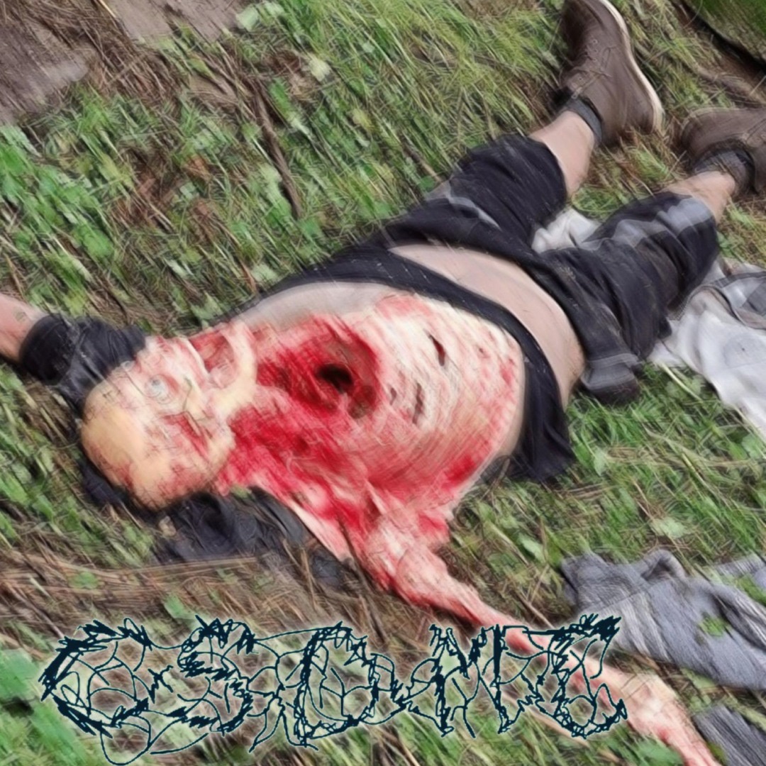 Brutal Bear Attack
