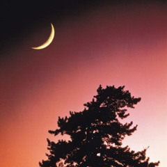 moonman prod. shadvw x pilgrim