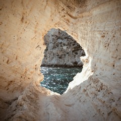 Summer 2025 🐆🤍