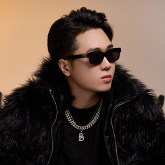 VIETMIX 2025 - DẬP DÌU VOL2 - LuneB