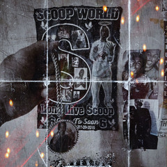 4300JAY (WARNER BROS)