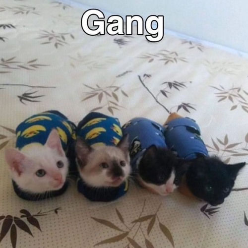 :0