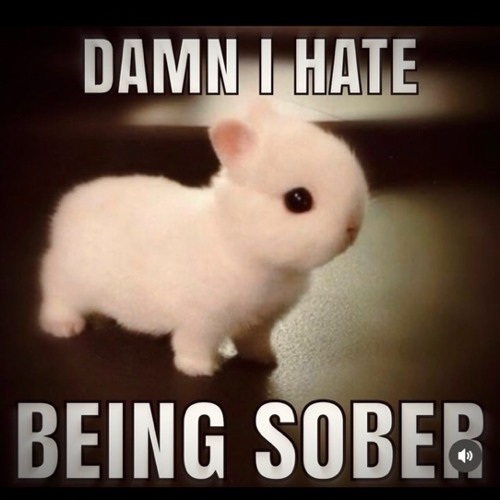 LiLRawR~Ztoner prod.???