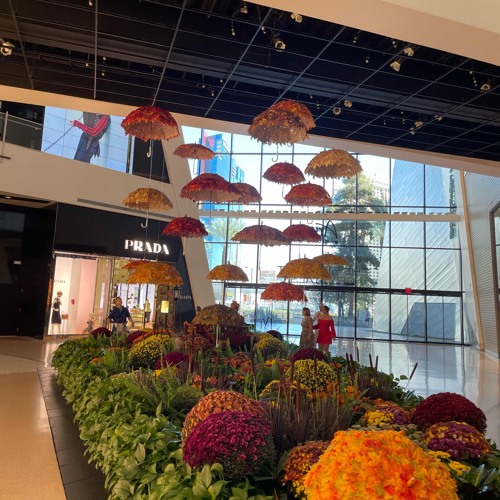 thru the rain (voiceluvv)