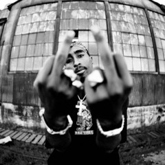 2Pac - Troublesome '96 (THANOS Remix)