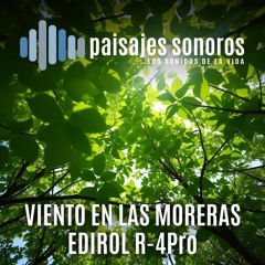 Viento bajo las Moreras [Edirol R4-Pro, RODE NT2000 Omni, Disco Jecklin]