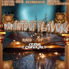 MOMENTS OF FLAVOR!!!