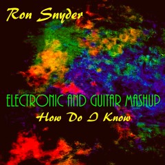 RON SNYDER - How Do I Know (MASHUP)