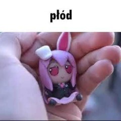 finis te ipsum