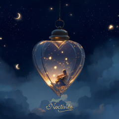 Noctivida