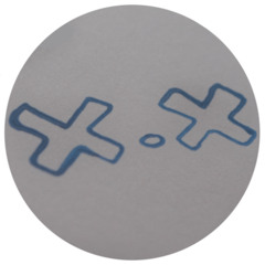 copycat normalised.mp3