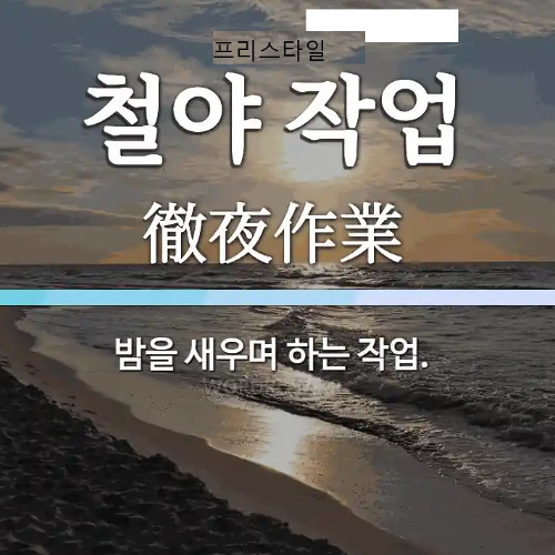 철야 프리스타일
